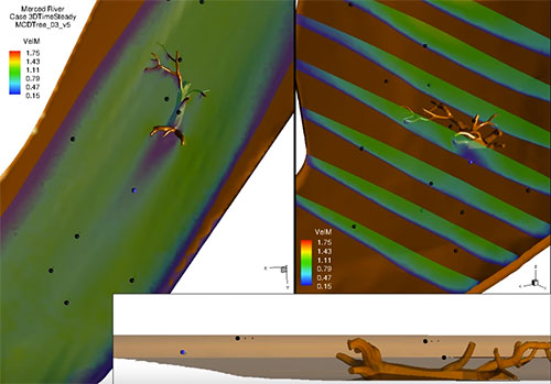 Simulating Fish Behavior