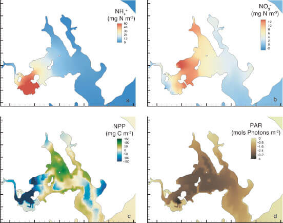 Dissolved Organic Matter