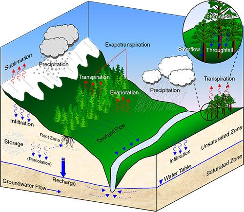 Hydrological Cycle
