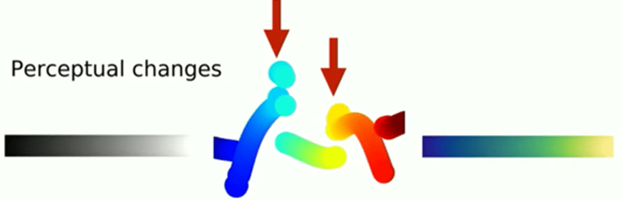 Perceptual Change